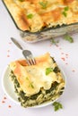 LentilÃÂ Spinach Lasagne Royalty Free Stock Photo